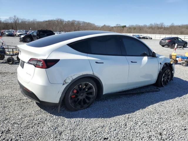 2020 Tesla Model Y