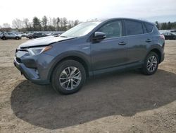 Toyota Rav4 HV LE Vehiculos salvage en venta: 2017 Toyota Rav4 HV LE