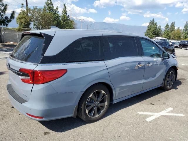 2023 Honda Odyssey Elite