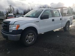 Salvage cars for sale at Portland, OR auction: 2014 Ford F150 Supercrew