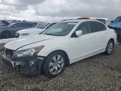 Honda Accord salvage cars for sale: 2010 Honda Accord EX