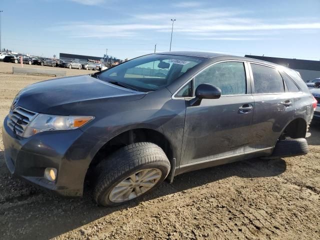 2010 Toyota Venza