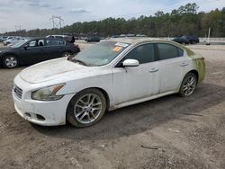 Salvage cars for sale from Copart Greenwell Springs, LA: 2010 Nissan Maxima S