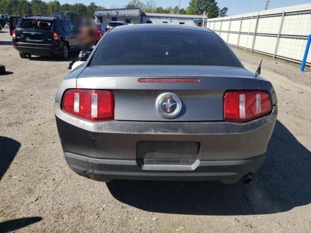 2010 Ford Mustang