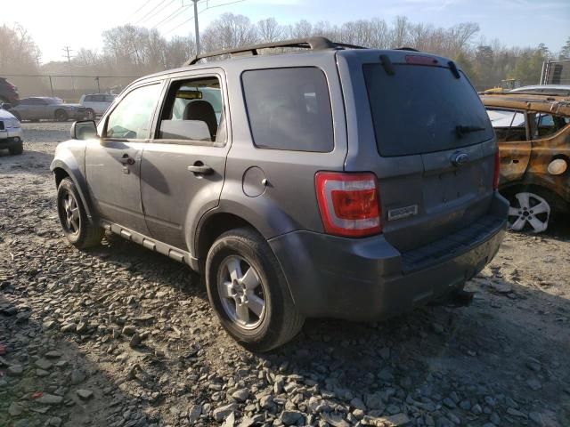 2009 Ford Escape XLT