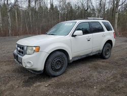 Ford salvage cars for sale: 2010 Ford Escape Limited