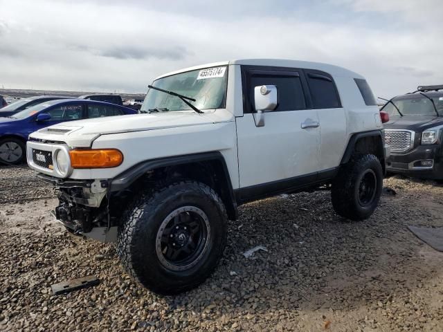 2013 Toyota FJ Cruiser