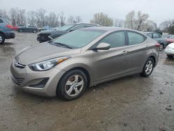 Salvage cars for sale at Baltimore, MD auction: 2015 Hyundai Elantra SE