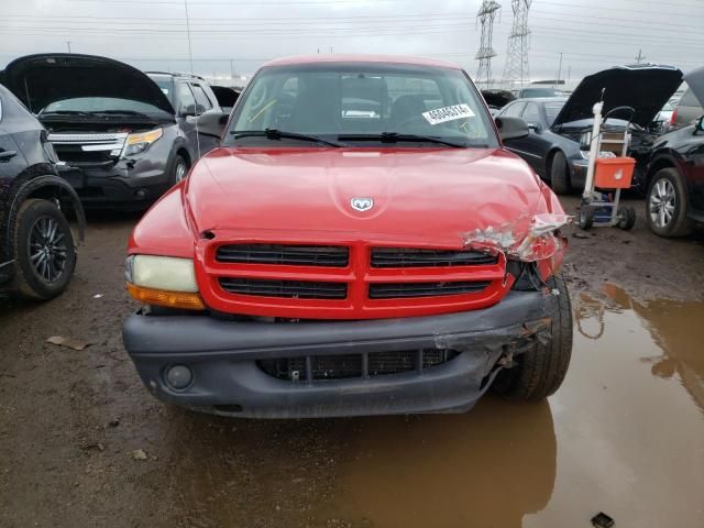 2003 Dodge Dakota SXT