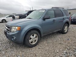 Salvage cars for sale at Barberton, OH auction: 2010 Ford Escape XLT