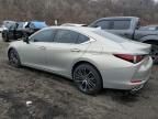 2024 Lexus ES 350 Base