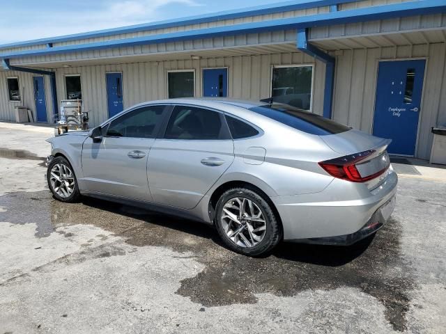 2020 Hyundai Sonata SEL