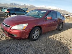 Honda salvage cars for sale: 2006 Honda Accord EX