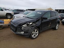 Salvage cars for sale at Brighton, CO auction: 2014 Ford Escape SE
