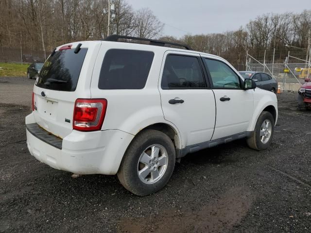 2011 Ford Escape XLT