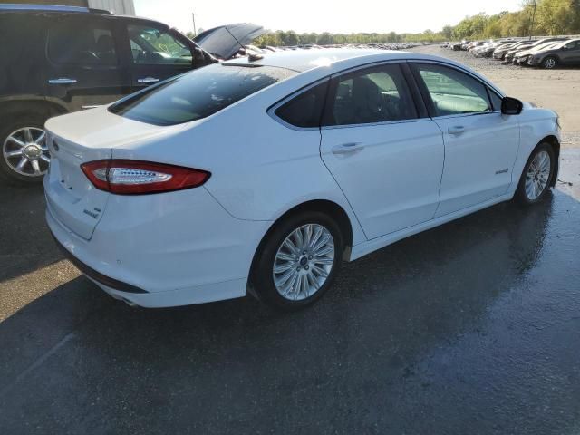 2016 Ford Fusion SE Hybrid