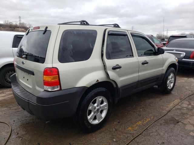 2005 Ford Escape XLT