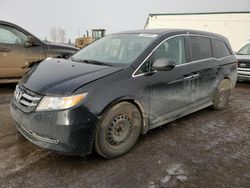 Salvage cars for sale at Rocky View County, AB auction: 2015 Honda Odyssey EXL