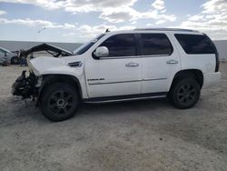 Salvage cars for sale at Adelanto, CA auction: 2007 Cadillac Escalade Luxury