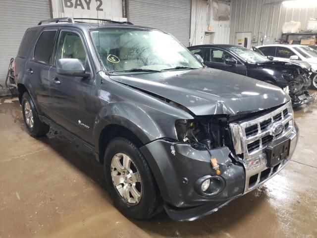 2010 Ford Escape Hybrid