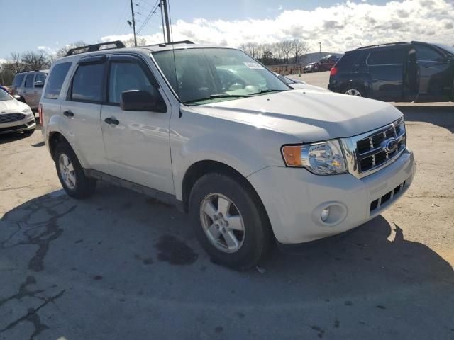 2011 Ford Escape XLT