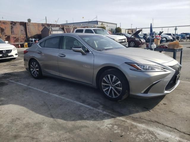 2019 Lexus ES 350