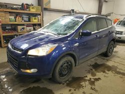 Salvage cars for sale at Nisku, AB auction: 2015 Ford Escape SE