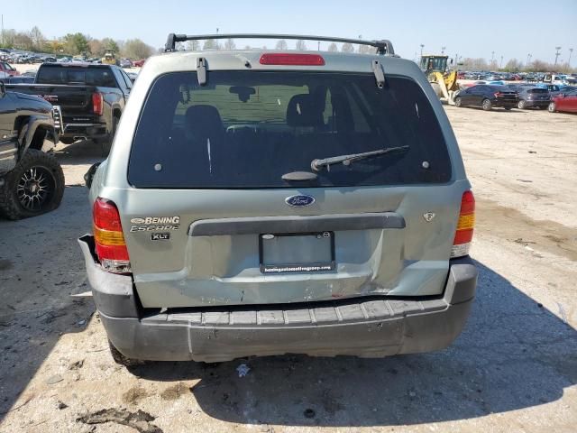 2006 Ford Escape XLT