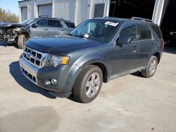 Salvage cars for sale from Copart Gaston, SC: 2009 Ford Escape Limited