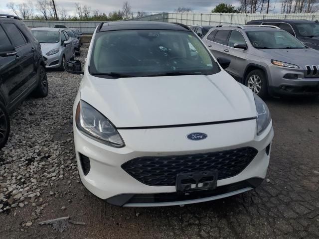 2020 Ford Escape SE Sport