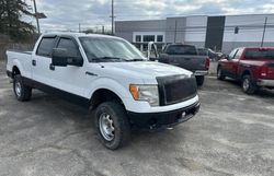 Ford salvage cars for sale: 2011 Ford F150 Supercrew