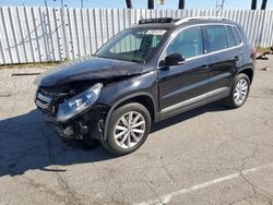 Vehiculos salvage en venta de Copart Van Nuys, CA: 2017 Volkswagen Tiguan Wolfsburg