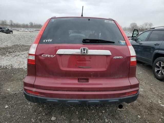 2010 Honda CR-V EX