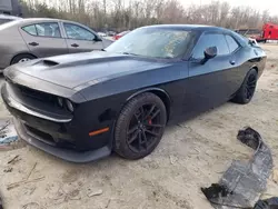 Dodge Challenger R/T Scat Pack Vehiculos salvage en venta: 2019 Dodge Challenger R/T Scat Pack