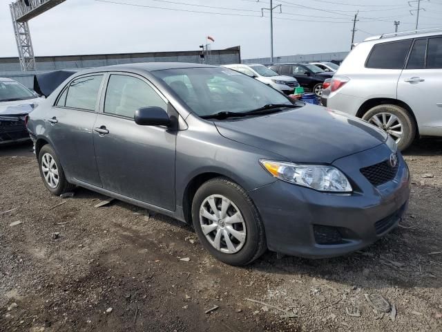 2010 Toyota Corolla Base