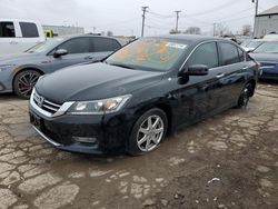 Honda Accord salvage cars for sale: 2013 Honda Accord EXL