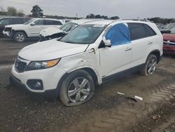 Salvage cars for sale at Conway, AR auction: 2012 KIA Sorento EX