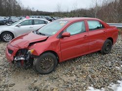 Toyota Corolla salvage cars for sale: 2010 Toyota Corolla Base