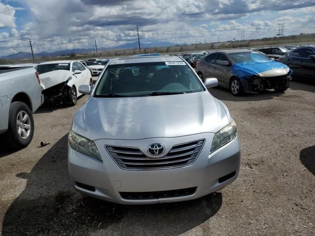 2009 Toyota Camry Hybrid