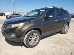 Salvage cars for sale at Temple, TX auction: 2011 KIA Sorento EX