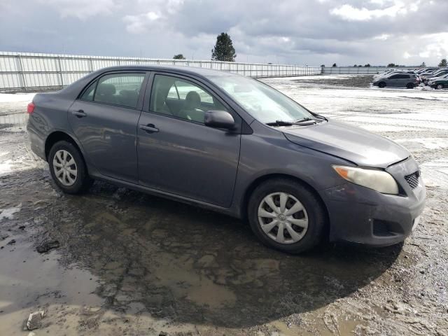 2009 Toyota Corolla Base