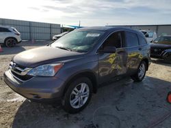 Salvage cars for sale at Arcadia, FL auction: 2011 Honda CR-V EX