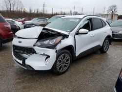 Salvage cars for sale at Bridgeton, MO auction: 2021 Ford Escape SEL