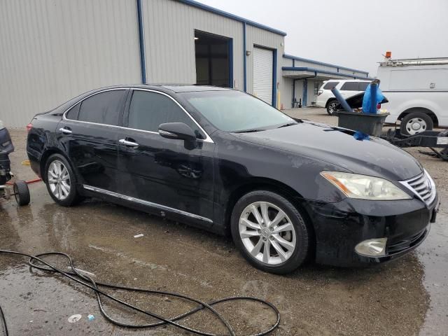 2010 Lexus ES 350