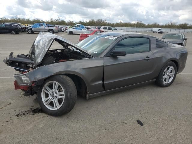 2014 Ford Mustang