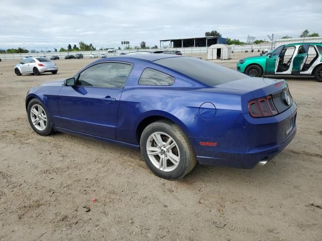 2014 Ford Mustang