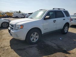 Ford Escape Hybrid Vehiculos salvage en venta: 2012 Ford Escape Hybrid