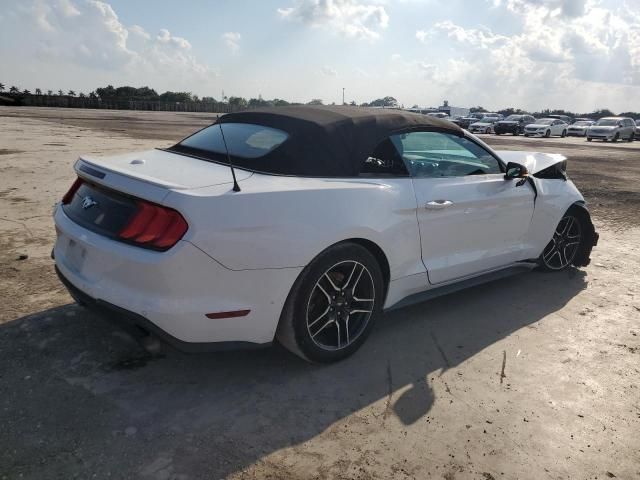 2019 Ford Mustang