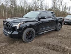 Salvage cars for sale from Copart Bowmanville, ON: 2022 Toyota Tundra Crewmax SR