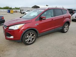 Salvage cars for sale at Fresno, CA auction: 2014 Ford Escape Titanium